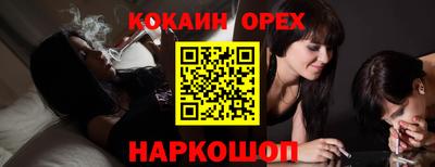 сатива Новокубанск