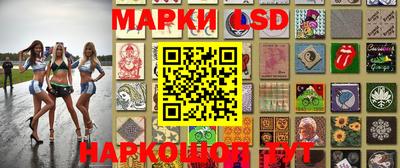 сатива Новокубанск