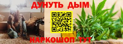 сатива Новокубанск