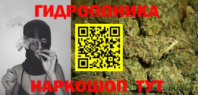 тгк Новозыбков