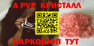 тгк Новозыбков