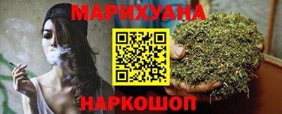 сатива Новокубанск