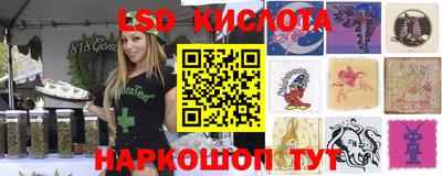 сатива Новокубанск