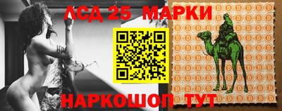тгк Новозыбков