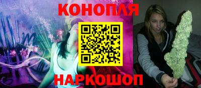 сатива Новокубанск