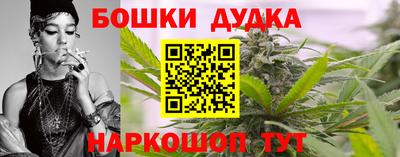 тгк Новозыбков