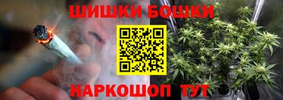 тгк Новозыбков