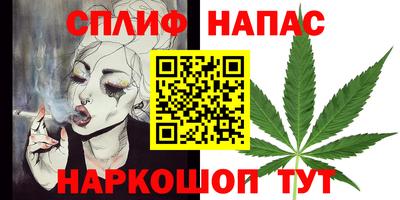 сатива Новокубанск