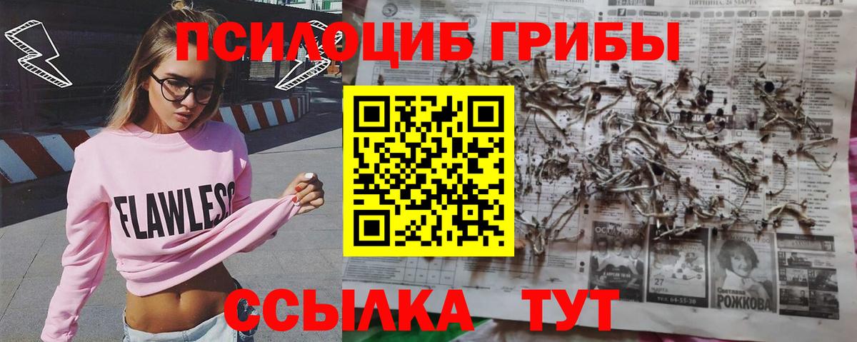 Галлюциногенные грибы GOLDEN TEACHER Троицк