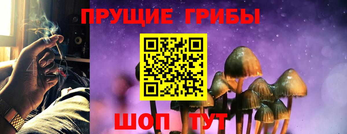 Троицк  Галлюциногенные грибы Magic Shrooms  Вход с VPN 